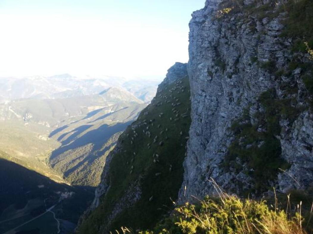 Dans la fôret à 15 minutes de Crest et de Saillans, vue panoramique, calme Piégros-la-Clastre Extérieur photo